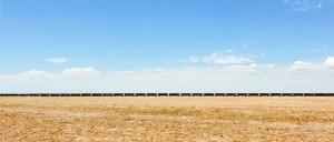 Grandes Plaines, 2016