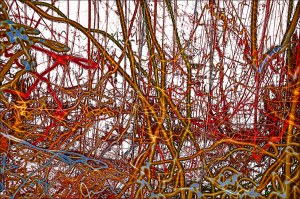 Transparences, New-York, 2025